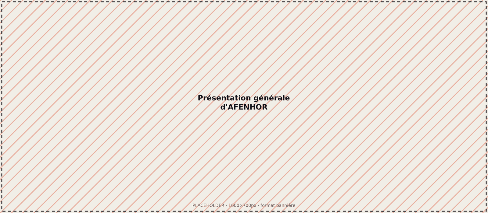 [Photo à remplacer : présentation générale d'AFENHOR]