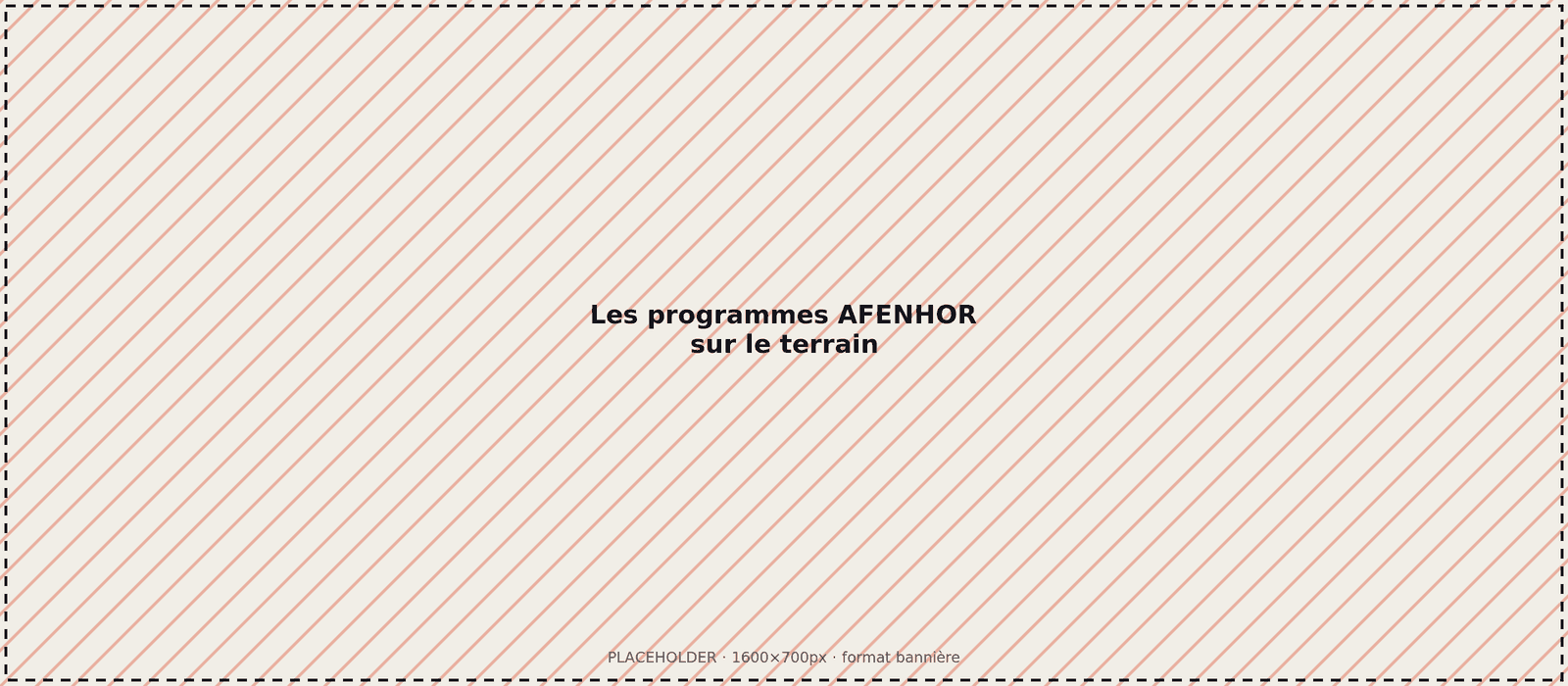 [Photo à remplacer : les programmes AFENHOR sur le terrain]
