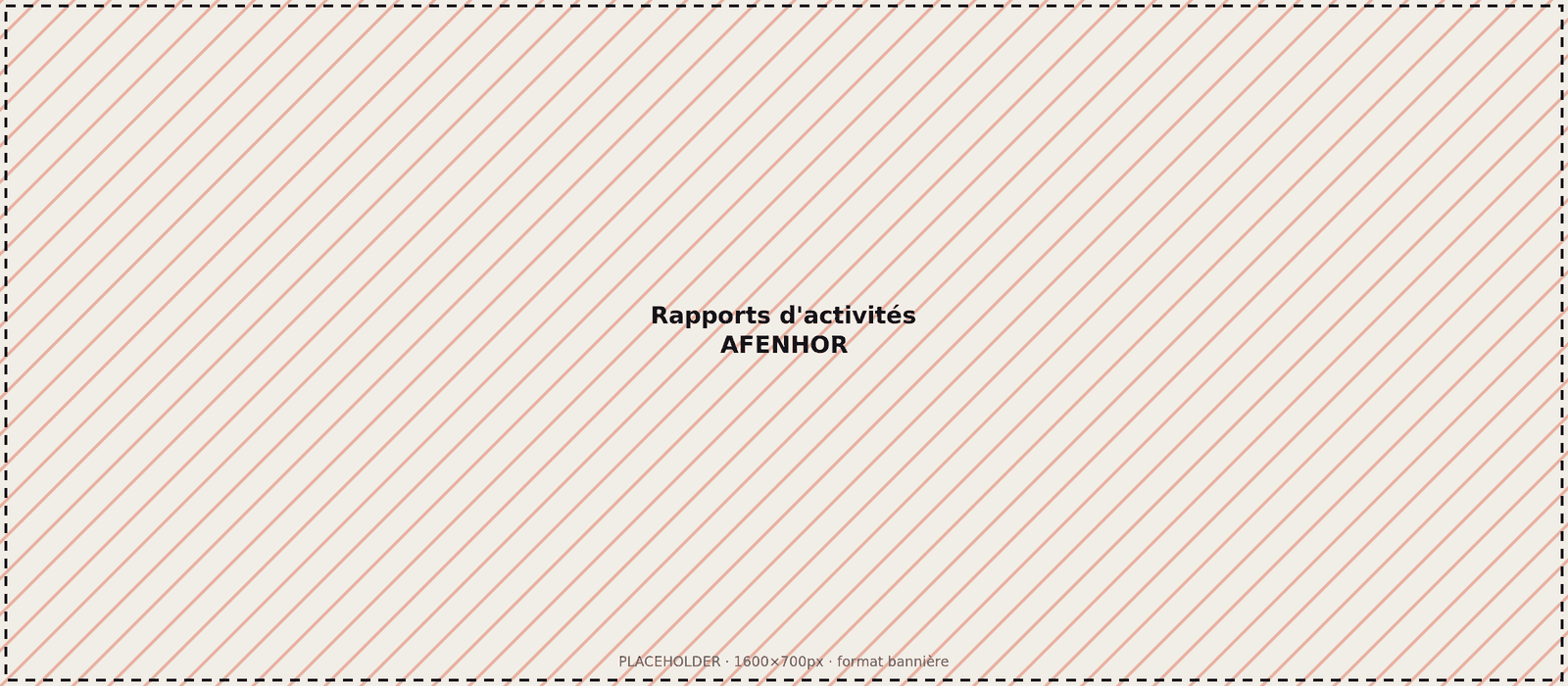[Photo à remplacer : rapports d'activités AFENHOR]